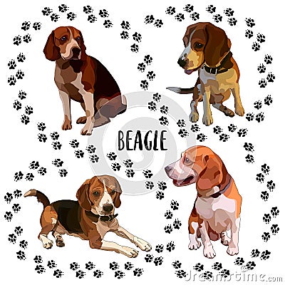 Background with beagles Vector Illustration