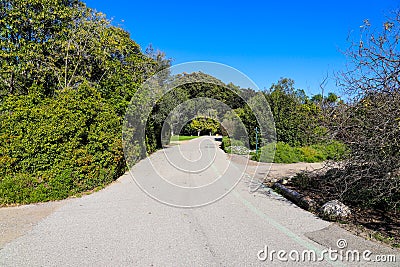 A smooth long paved walking path through the garden with lush green trees and plants along the path with blue sky Stock Photo