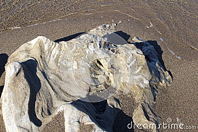 smooth rock on the beach from the sea Stock Photo