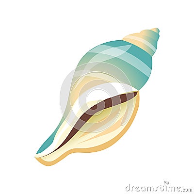 Smooth white and blue sea shell, an empty shell of a sea mollusk. Colorful cartoon illustration Vector Illustration