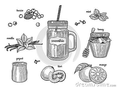 Smoothie in a glass jar. The individual ingredients. Berries, vanilla, yogurt, kiwi, orange, honey, mint. Vector Illustration