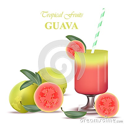 Smoothie Guava Vector exotic fruits cocktail Vector Illustration