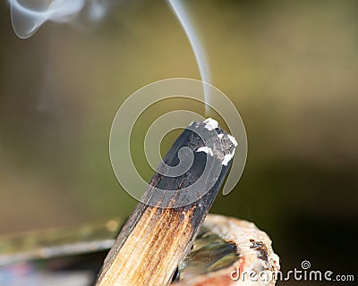 Smudging ceremony using Peruvian Palo Santo holy wood incense stick and abalone shell in forest Stock Photo