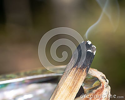 Smudging ceremony using Peruvian Palo Santo holy wood incense stick and abalone shell in forest Stock Photo