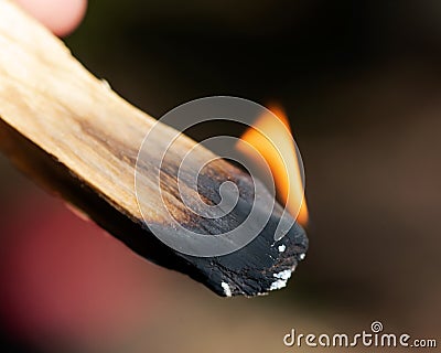Smudging ceremony using Peruvian Palo Santo holy wood incense stick in forest Stock Photo