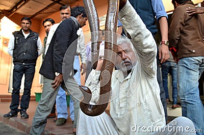 Smuggler with Sand Boa snake Editorial Stock Photo