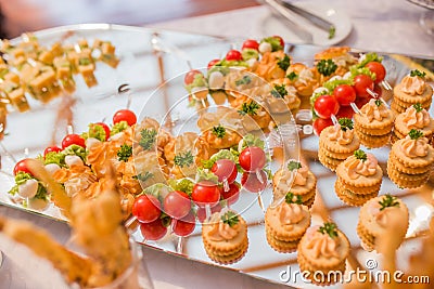 Snacks, mini sandwiches with fish and meat, decorated with cherry tomatoes and tartlets with various fillings Stock Photo
