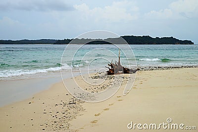 Snag on the sand beach of Isla Bajo Boyarena, San Miguel, Panama Stock Photo