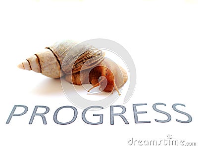 Snail as a symbol: slow progress is still progress Stock Photo