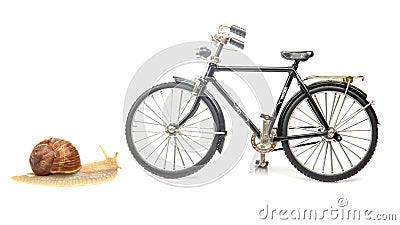 Snail and bicycle model on a white background. The speed of movement of vehicles in comparison Stock Photo