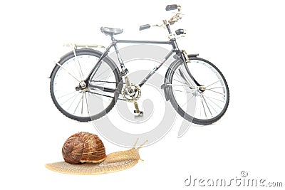 Snail and bicycle model on a white background. The speed of movement of vehicles in comparison Stock Photo