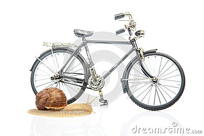 Snail and bicycle model on a white background. The speed of movement of vehicles in comparison Stock Photo