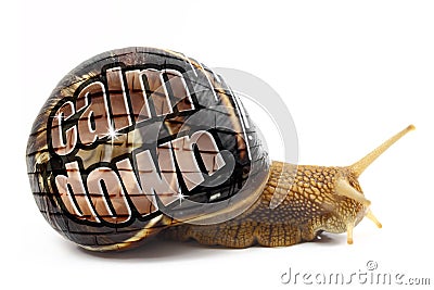 Snail with Calm Down message Stock Photo