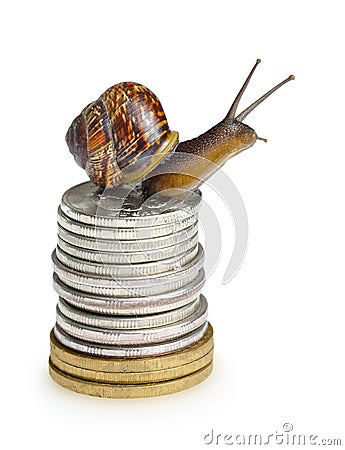 Snail on coins Stock Photo