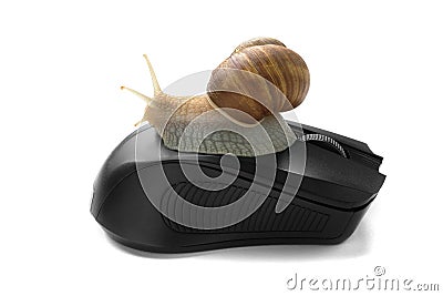 Snail on computer mouse. Concept speed internet slow Stock Photo