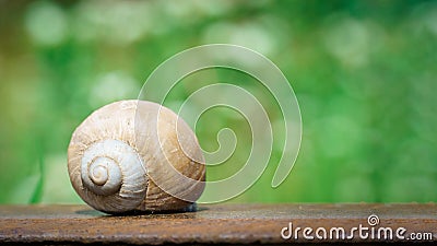 Snail crawling along a railway rail on a green blurred background Stock Photo