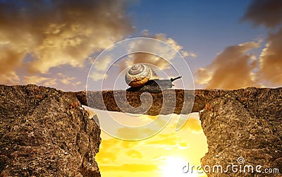 The snail crawling through the gap. Stock Photo