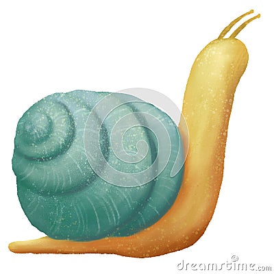 Snail icon hi-res illustration Cartoon Illustration