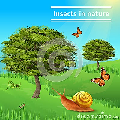 Snail Insects Nature Poster Vector Illustration
