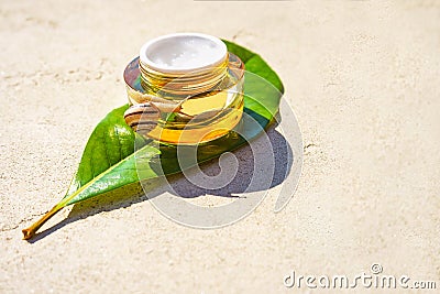 Snail and a jar of skin cream on green leaf on concrete background. Snail slime. Stock Photo