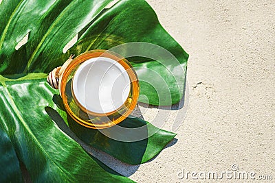 Snail and a jar of skin cream on green monstera leaf on concrete background. Snail slime. Stock Photo