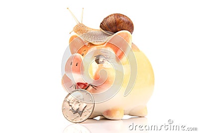 Snail and piggy bank for coins on a white background. The concept of slow accumulation of money deposit. Financial literacy and Stock Photo