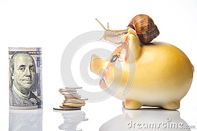 Snail and piggy bank for coins on a white background. The concept of slow accumulation of money deposit. Financial literacy and Stock Photo