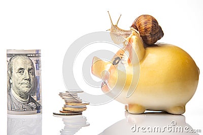 Snail and piggy bank for coins on a white background. The concept of slow accumulation of money deposit. Financial literacy and Stock Photo