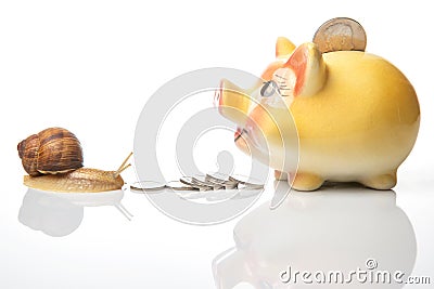 Snail and piggy bank for coins on a white background. The concept of slow accumulation of money deposit. Financial literacy and Stock Photo