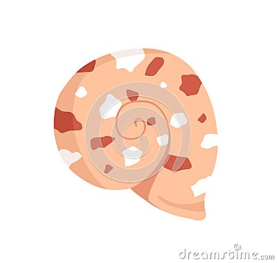 Snail sea shell. Marine underwater twisted seashell of spiral shape. Undersea mollusc. Swirled mollusk, shellfish. Under Vector Illustration