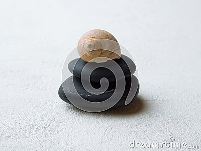 Snail shell on pebble stack. Stock Photo