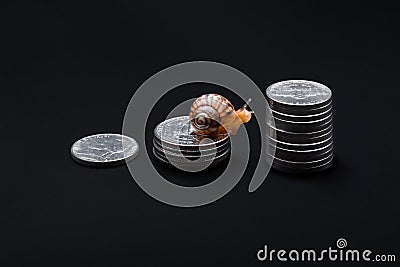 Snail on stack of coins on black background. Slow economic growth, business concept. Purposefulness, movement towards Stock Photo