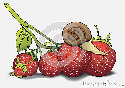 Snail on strawberries, cartoon pictures, hand-drawing. Can be used as a card, cover, print, design shirts, fabric Vector Illustration