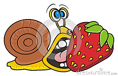 Snail and strawberries Stock Photo