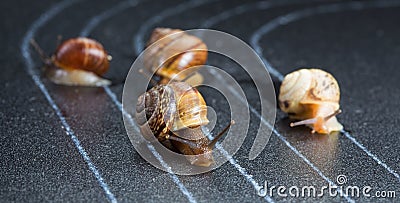 Snails on the athletic track Stock Photo