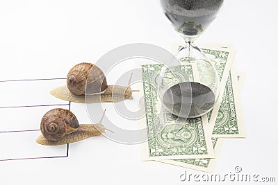 The snails compete first to reach the finish line with money. metaphor for business. time for success. persistence and speed of Stock Photo