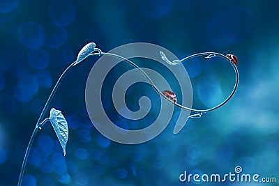 Snails on curved plant stem Stock Photo