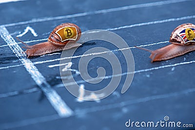 Snails race currency metaphor about Bitcoin against Pound sterling Stock Photo