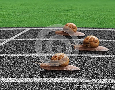 Snails race on sports track Stock Photo