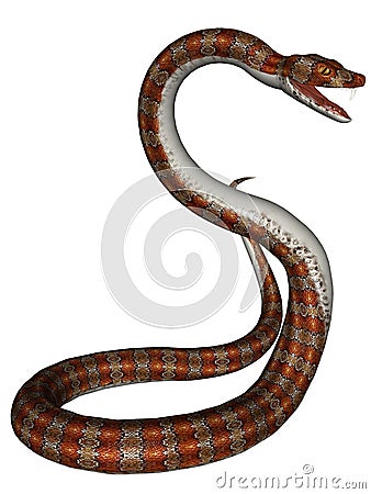 Snake Stock Photo