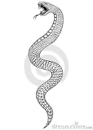 Snake Vector Illustration