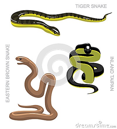 Snake Australian Venomous Set Cartoon Vector Illustration Vector Illustration