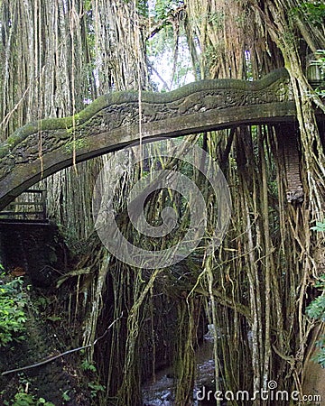 Snake Bridge in the Sacred Monkey Forest in Bali Indonesia Stock Photo