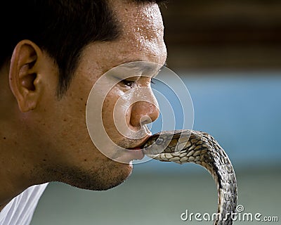 Snake Charmer Editorial Stock Photo