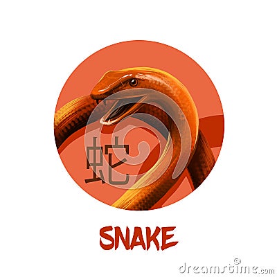 Snake chinese horoscope character isolated on white background. Symbol Of New Year 2025. Reptile animal in round circle with hiero Cartoon Illustration