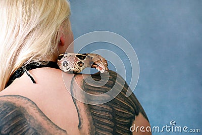 Snake on female shoulder and back, part woman body. Boa constrictor snake crawling per womanâ€™s back, shoulder, tattoo. Stock Photo