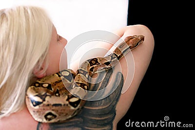 Snake on female shoulder and hand, part woman naked body. Boa constrictor snake crawling per woman hand and shoulder. Stock Photo