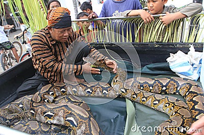 Snake Editorial Stock Photo