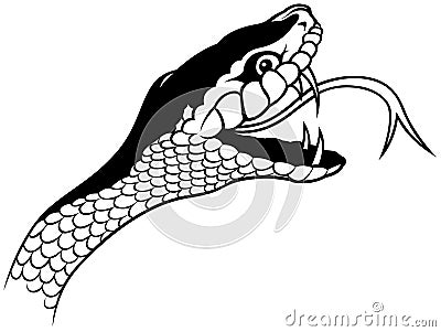 Snake Head Vector Illustration