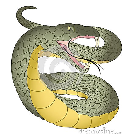 Snake, illustration Vector Illustration